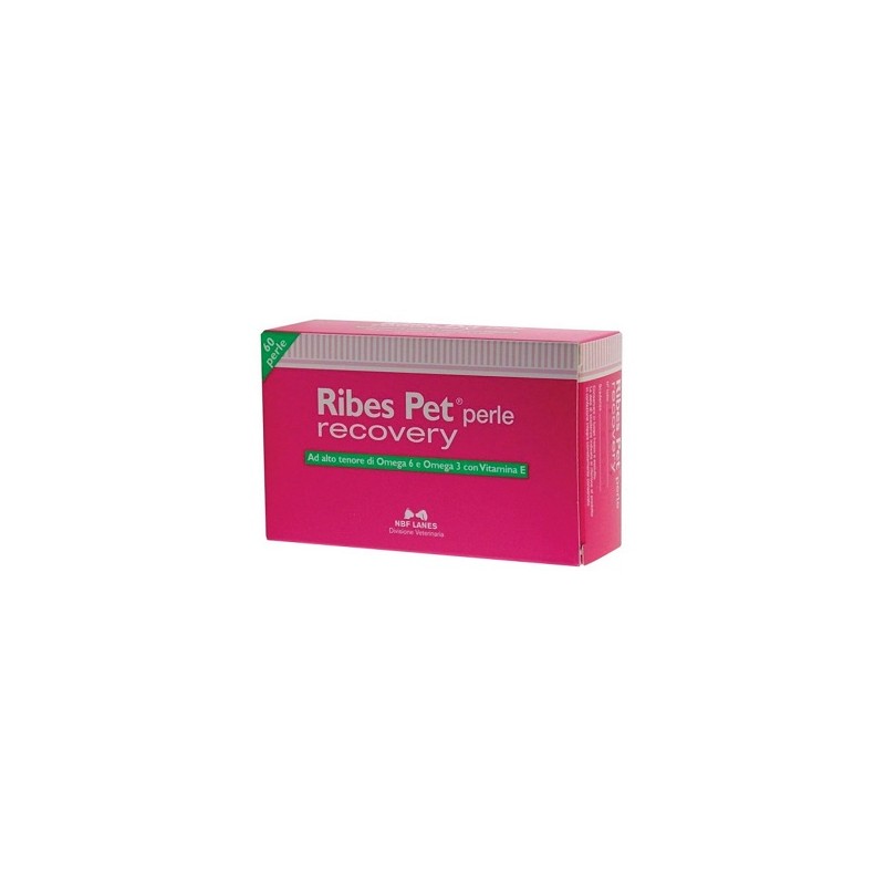 RIBES PET RECOVERY BLISTER 60 PERLE