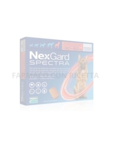NEXGARD SPECTRA*30-60KG 6CPR