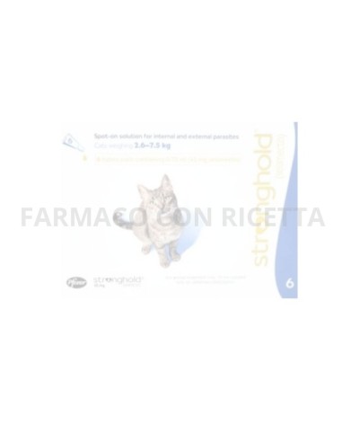 Stronghold Blu Gatto 6 Pipette 2,6-7,5kg