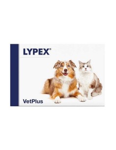 LYPEX 60 CAPSULE