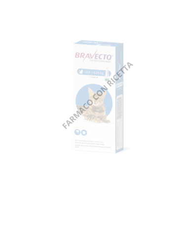 Bravecto Gatti 2,8-6,25 Kg - 1 Pipetta