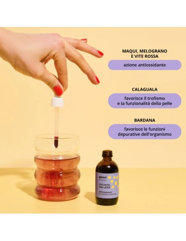 GOOVI ANTIOSSIDANTE SOLUZIONE ORALE 50 ML