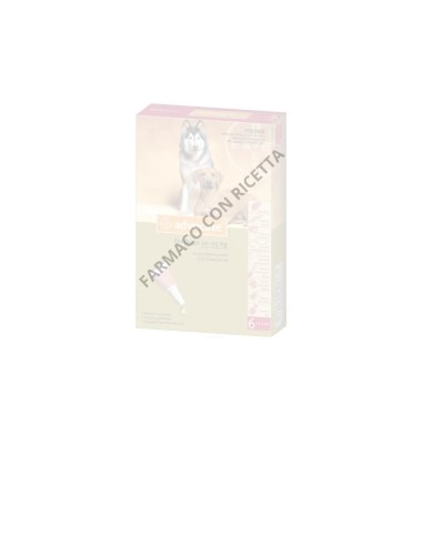 Advocate Cani 10-25 kg - 2 Pipette