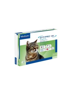 Effipro Duo Gatto - 4X0,50ML