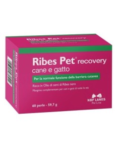 RIBES PET RECOVERY BLISTER 60 PERLE