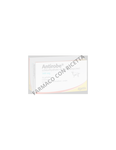 Antirobe 300 mg 16 Capsule