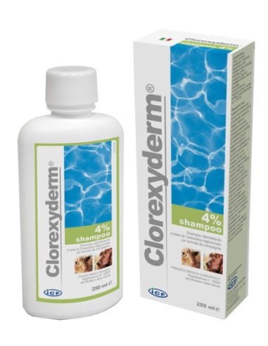 CLOREXYDERM SHAMPOO 4% 250 ML
