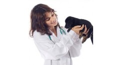 Crocchette per cani, integratori animali e antiparassitari | Mypharma